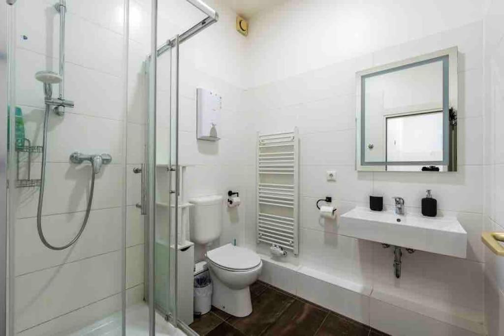 Big Fancy Apartments City Center Berlin Dış mekan fotoğraf
